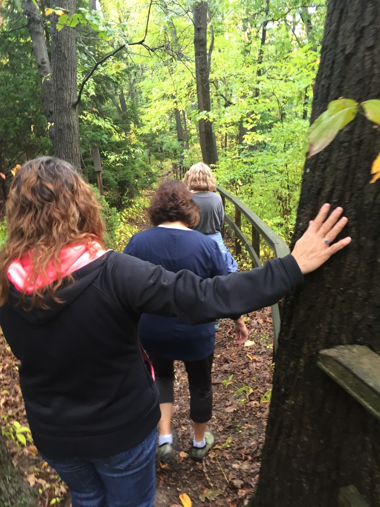 Descending down the stairs into the trail through the woods during Wake Up Your Nature at The Path of Consciousness